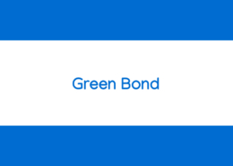 corso online Green Bond