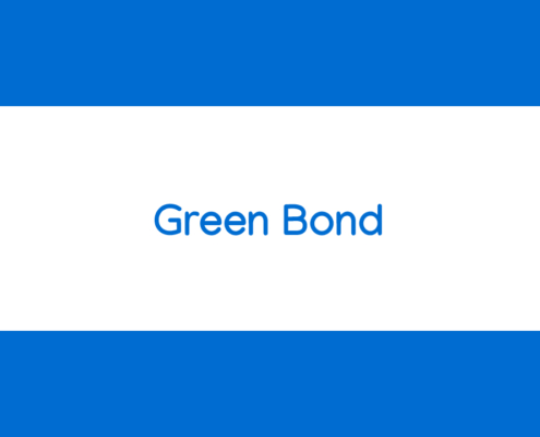 corso online Green Bond